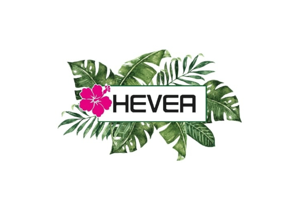 Hevea